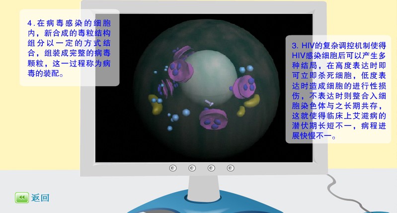 病毒釋放